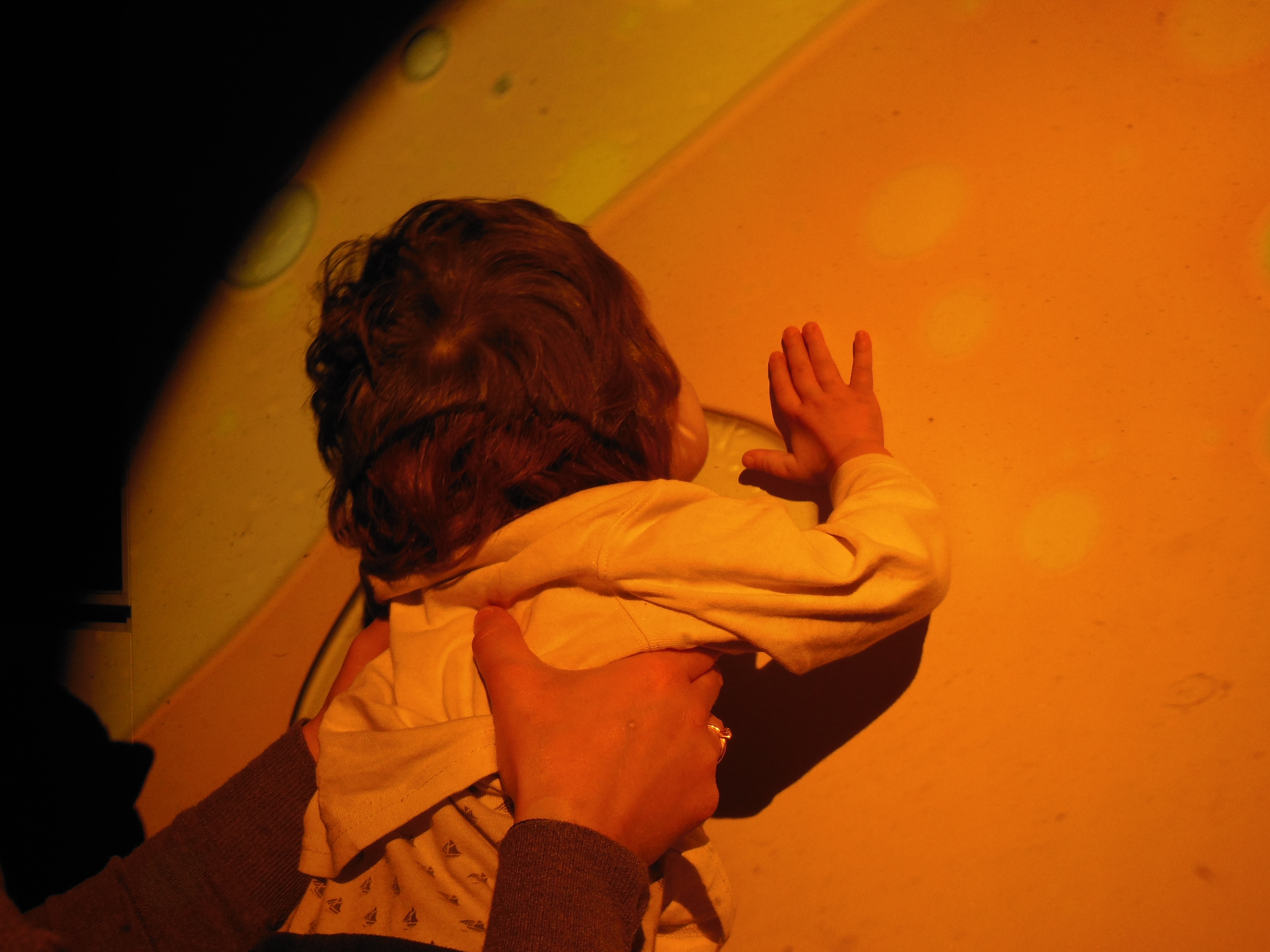 Bambini Sordociechi: Supporto a distanza di CABSS Bambini Sordociechi: Supporto a distanza-CABSS