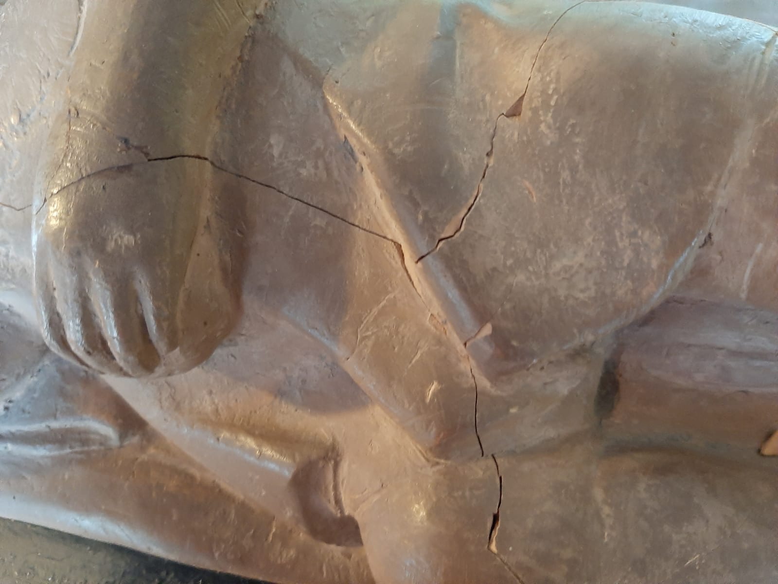 TORNERANNO A VIVERE-ORGANIZZAZIONE FLANGINI