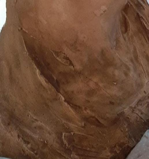 TORNERANNO A VIVERE-ORGANIZZAZIONE FLANGINI