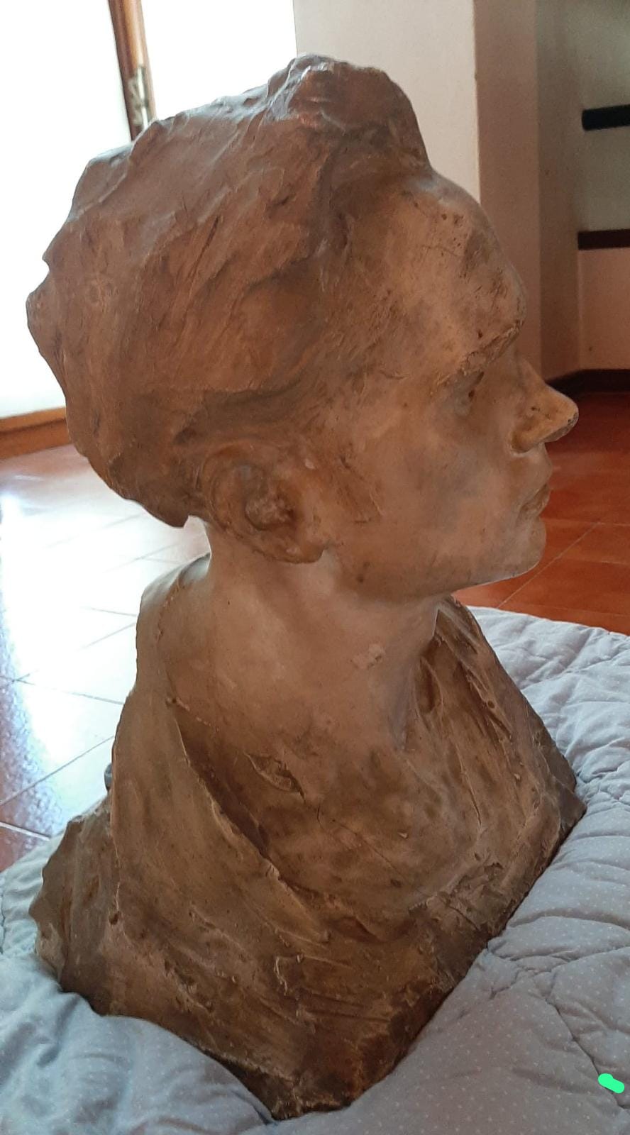 TORNERANNO A VIVERE-ORGANIZZAZIONE FLANGINI