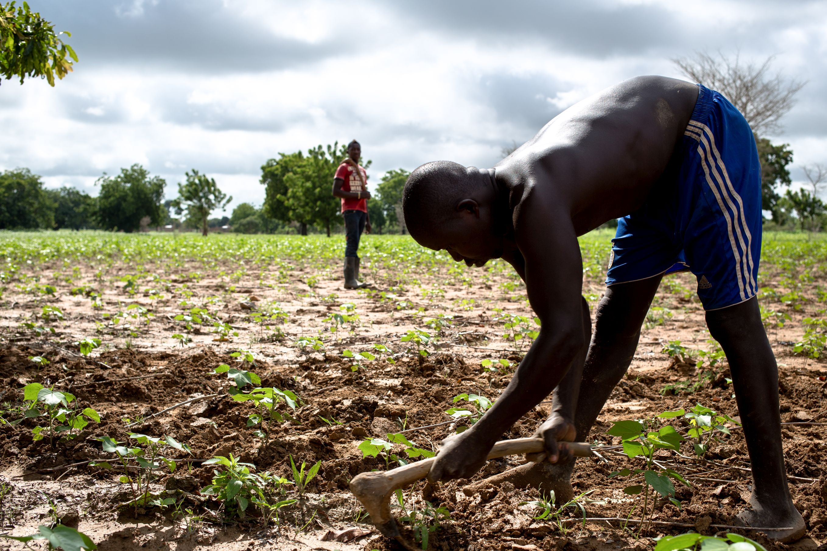 SOTTO SFORZO AUMENTA IL VOLUME DEL CUORE-CISV