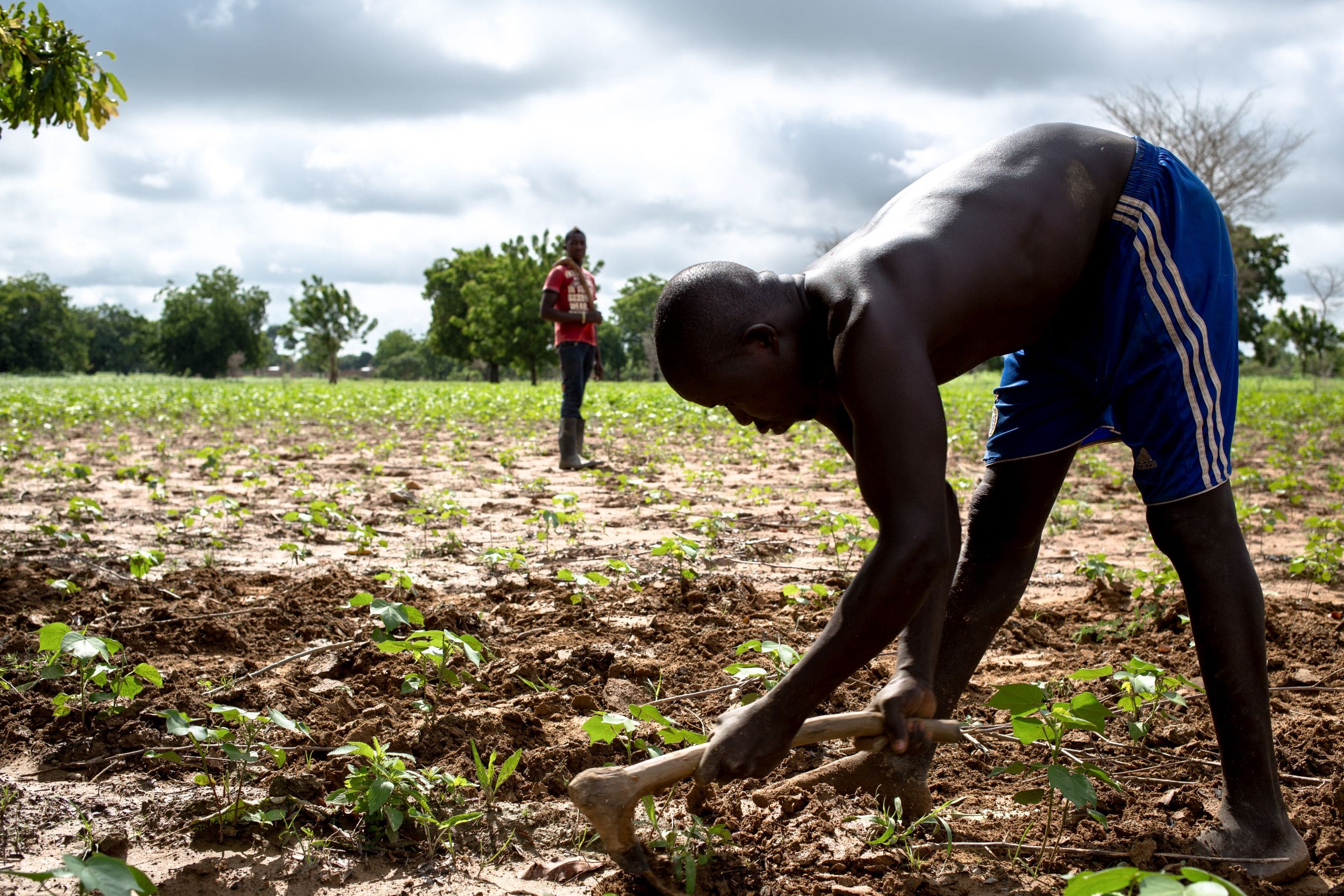 CON CISV, AUMENTA IL VOLUME DEL CUORE!-CISV