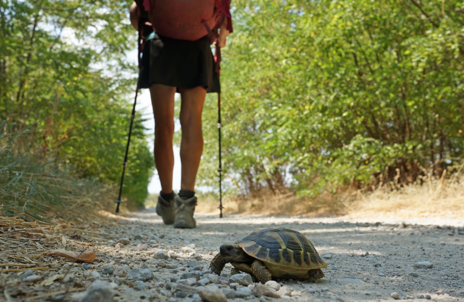 Europa? Un gioco da ragazzi!-La Locanda delle iDEE