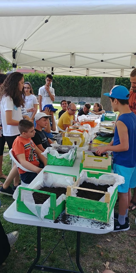 IL SOGNO DI EDOARDO. VOLARE! di Famiglie e Abilità IL SOGNO DI EDOARDO. VOLARE!-Famiglie e Abilità