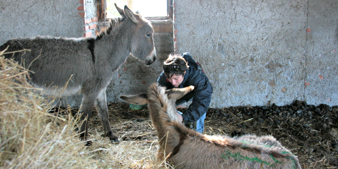 Barbara, responsabile del Rifugio degli Asinelli, durante i primi soccorsi a Colleferro
