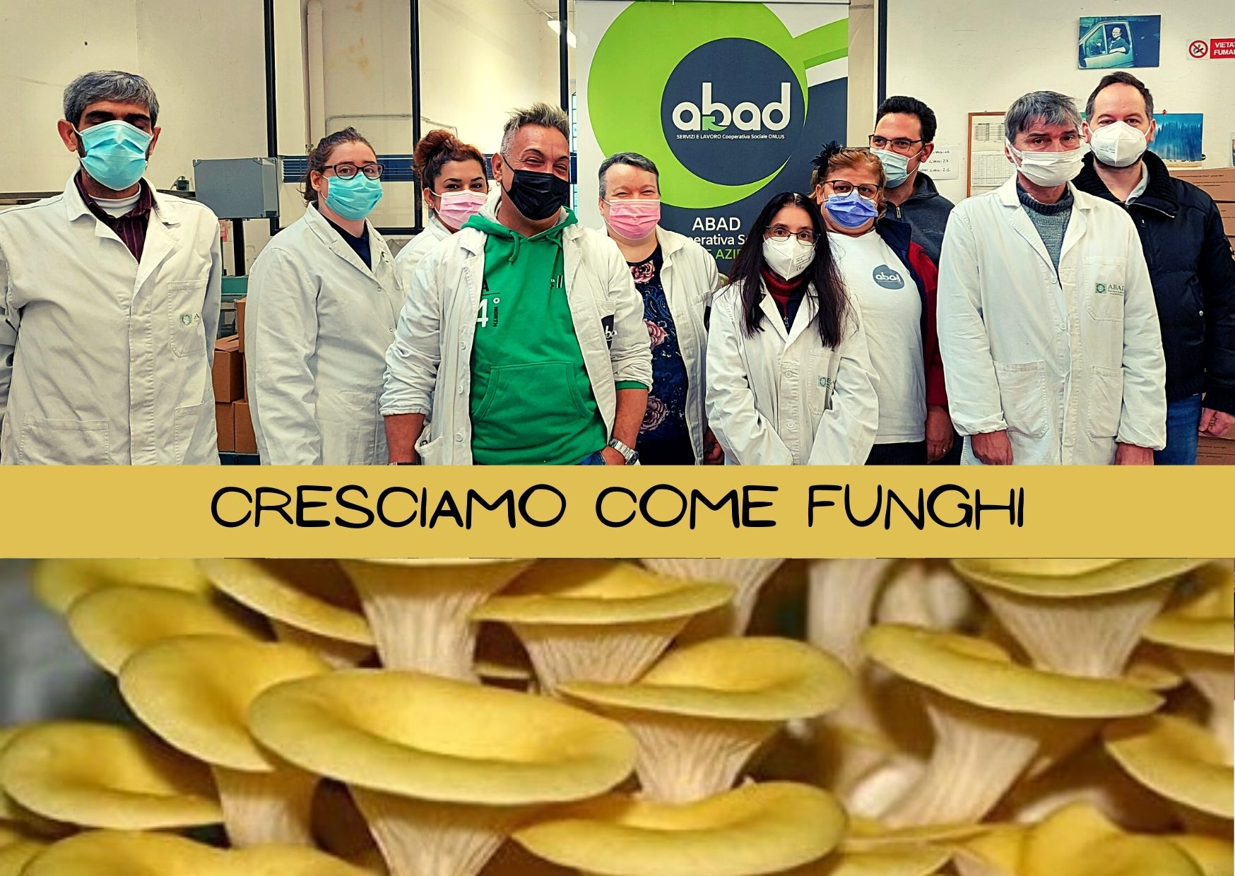CRESCIAMO COME FUNGHI di ABAD COOP.SOCIALE ONLUS CRESCIAMO COME FUNGHI-ABAD COOP.SOCIALE ONLUS