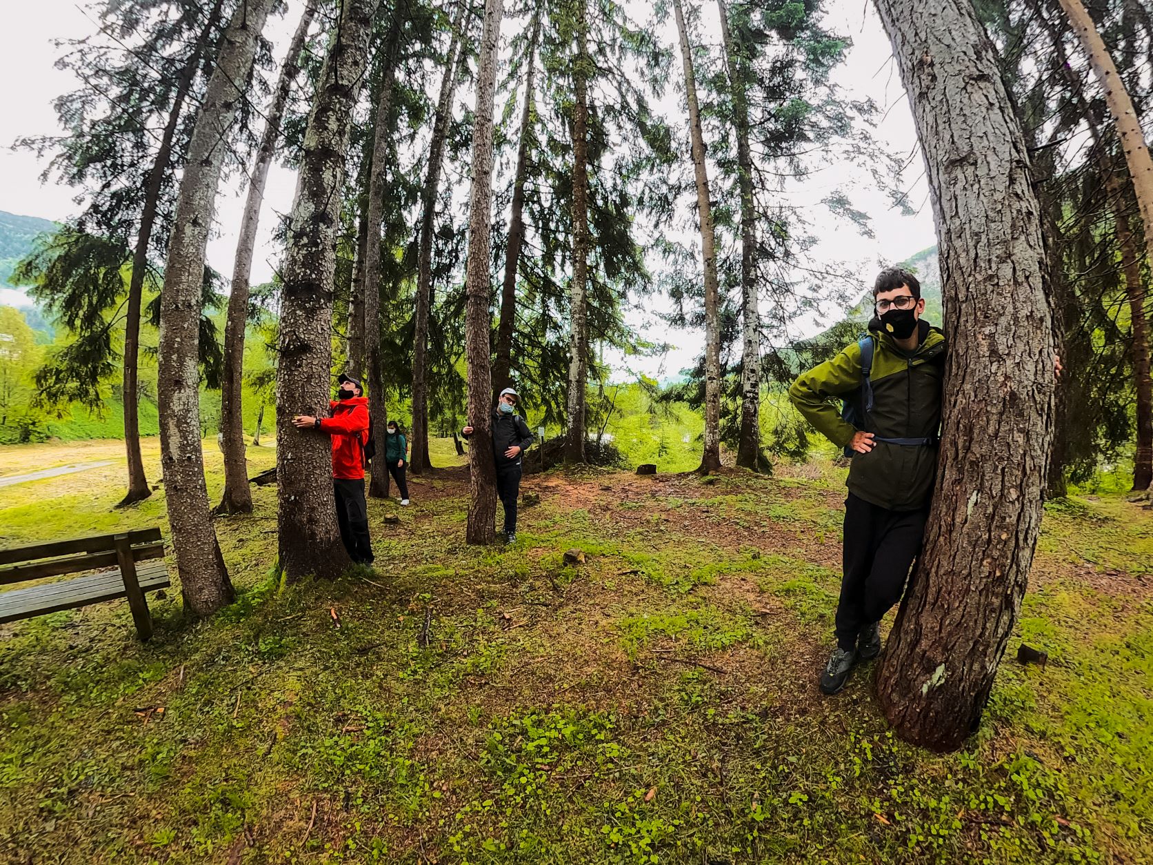 L'estate di Calicanto-Calicanto