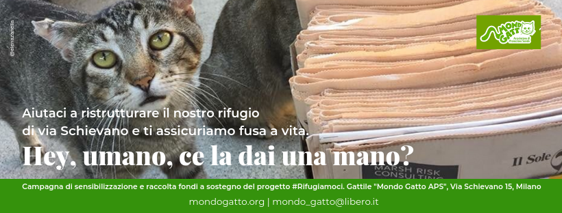 Un rifugio per i mici anziani di Milano di Mondo Gatto Un rifugio per i mici anziani di Milano-Mondo Gatto