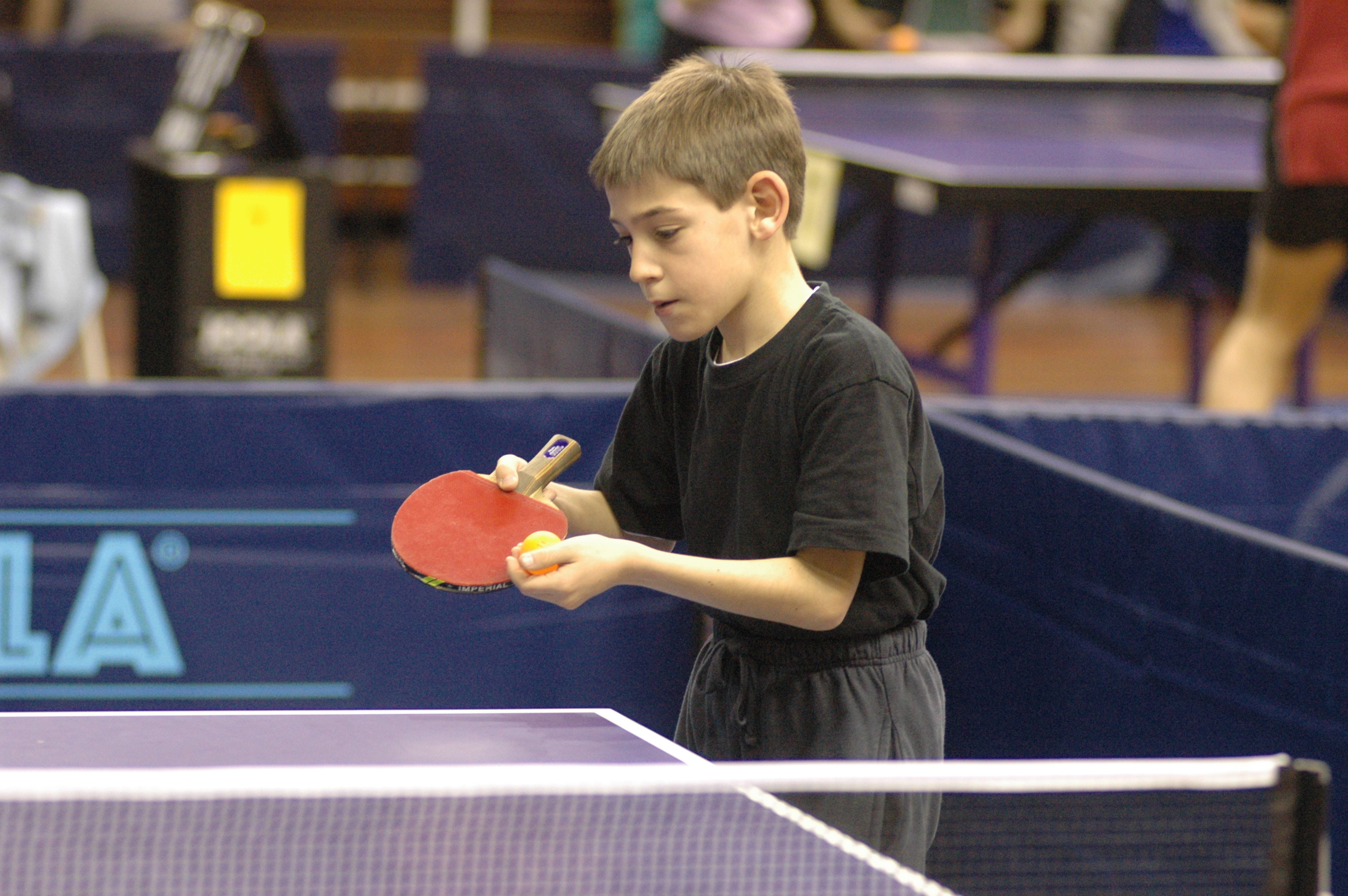 Foto Nazionali tennistavolo