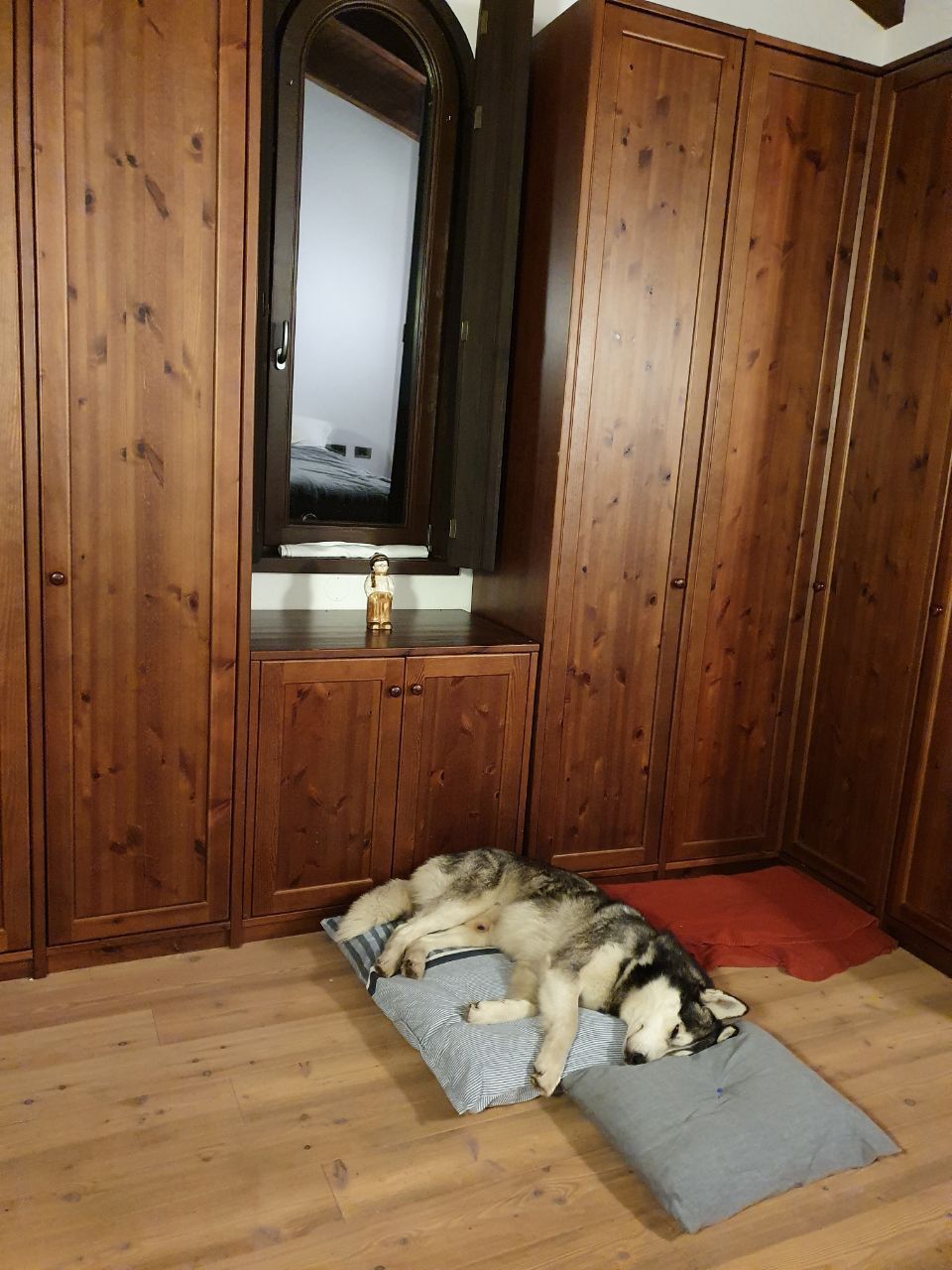 Emergenza Ucraina di Centro Gulliver Emergenza Ucraina-Centro Gulliver