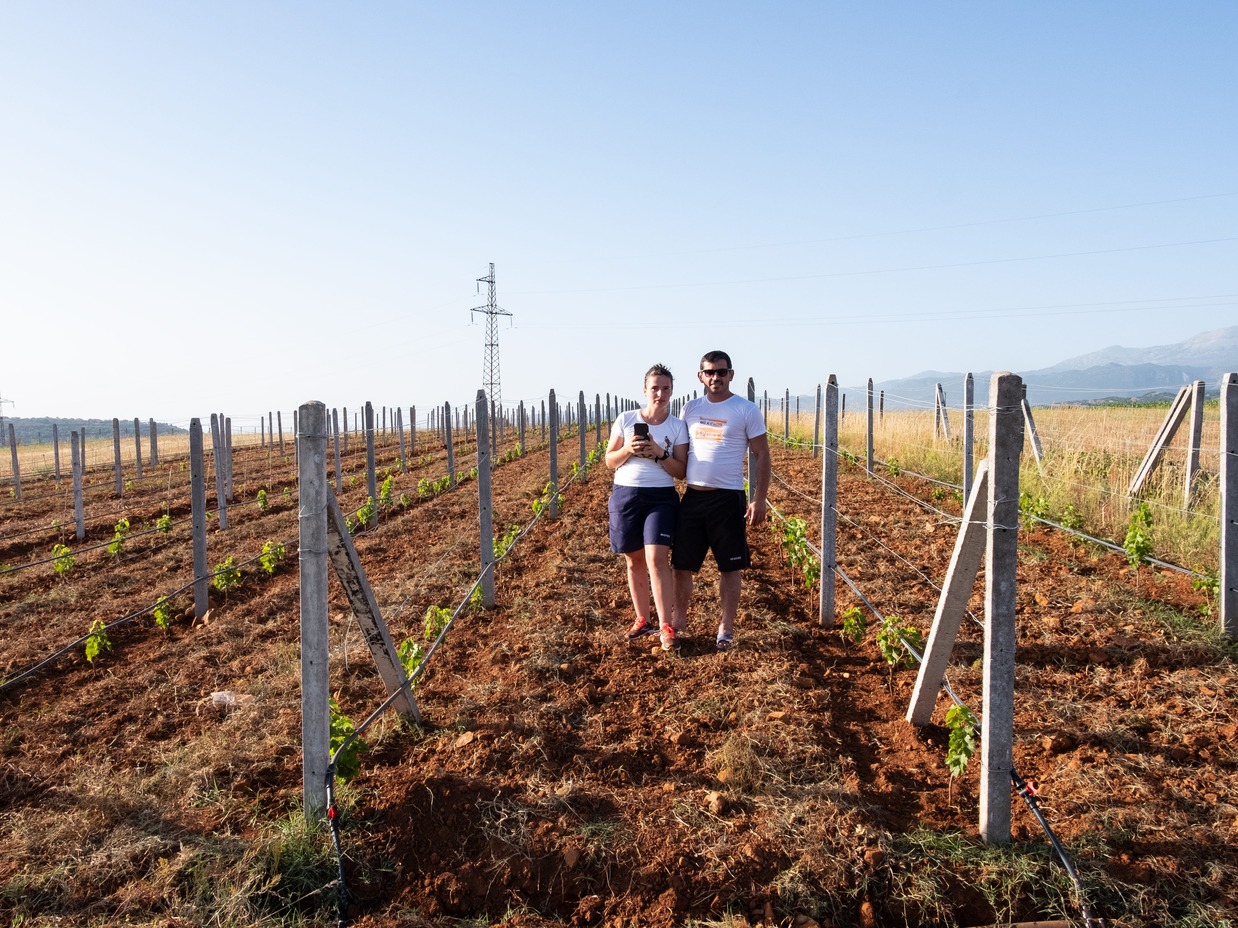 VITE VERË - Vigneti familiari in Albania di NO ONE OUT VITE VERË - Vigneti familiari in Albania-NO ONE OUT