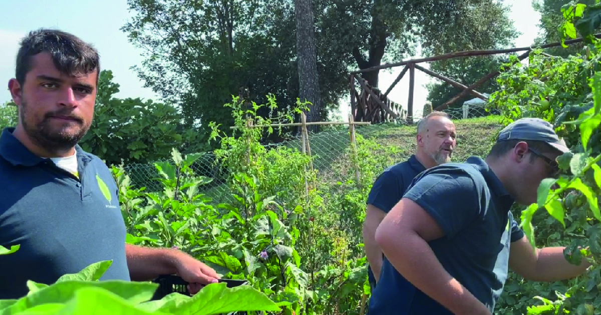 Openhouse Lab di Fondazione Giò Openhouse Lab-Fondazione Giò