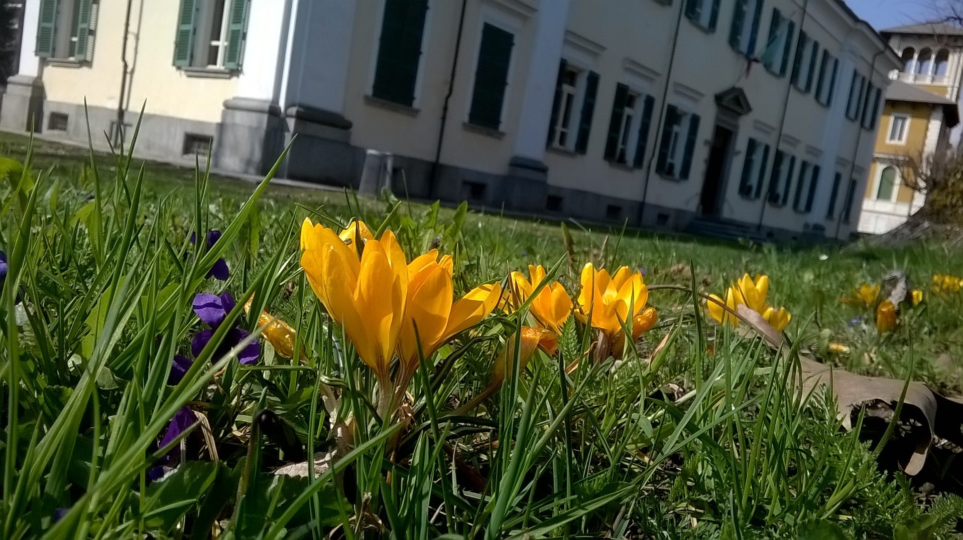 Pietra d'inciampo per Jacopo Lombardini di Liceo Valdese Pietra d'inciampo per Jacopo Lombardini-Liceo Valdese