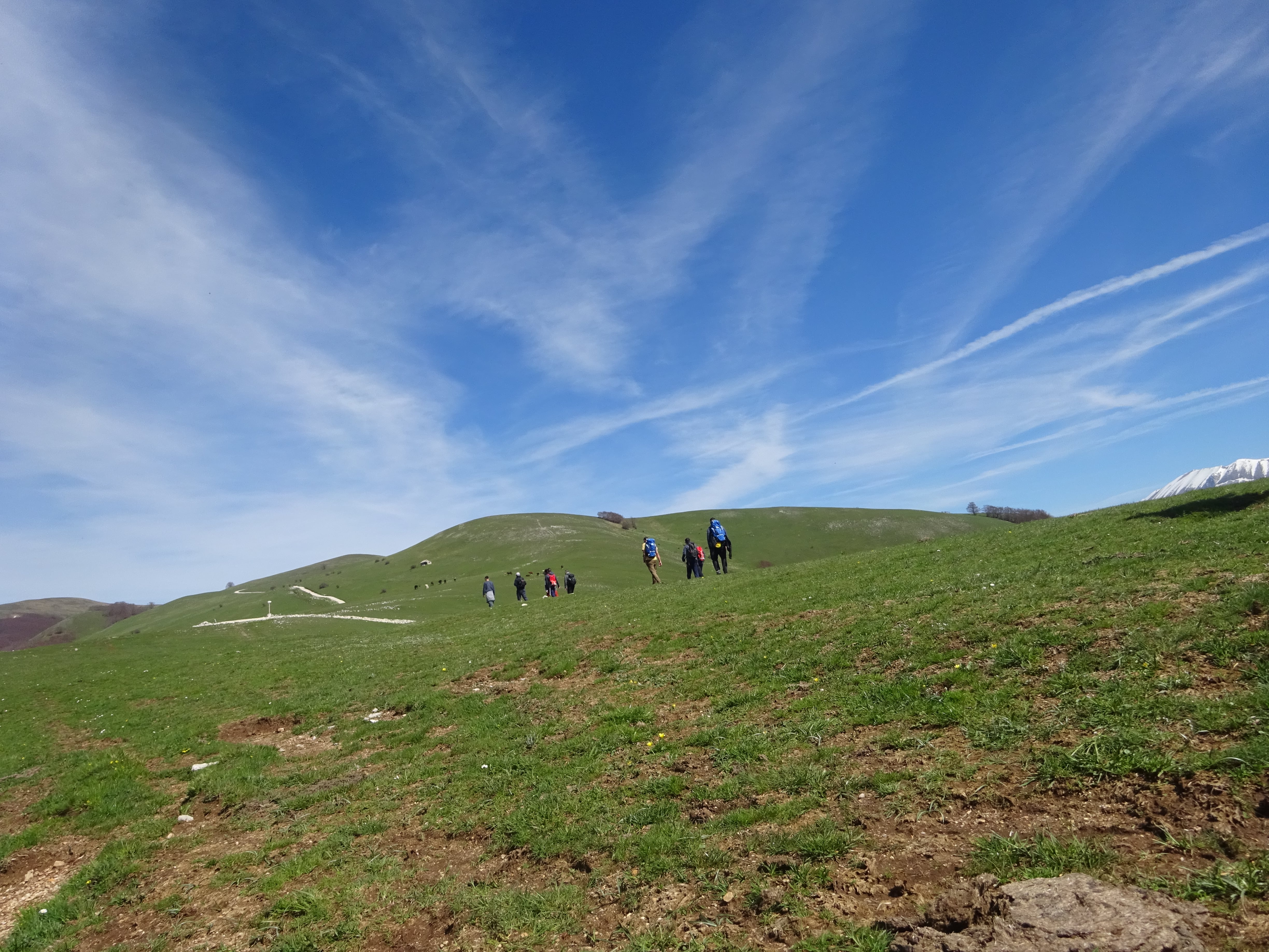 A passo d’uomo: verso la riabilitazione-Dianova