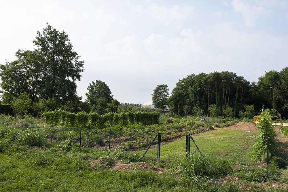 SE CORRI GIOCO ANCH'IO di Fondazione Alessio Tavecchio Onlus SE CORRI GIOCO ANCH'IO -Fondazione Alessio Tavecchio Onlus