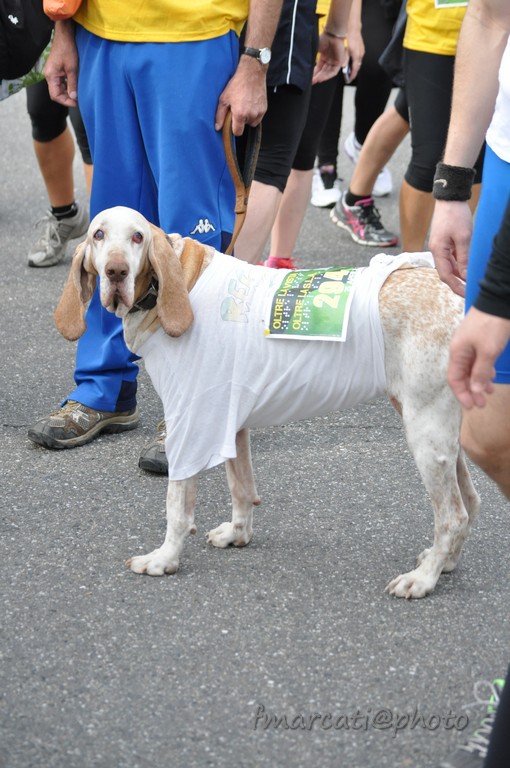 Oltre la Vista Oltre la SLA 2015 di A.s.d. Polisportiva UICI Torino Oltre la Vista Oltre la SLA 2015-A.s.d. Polisportiva UICI Torino