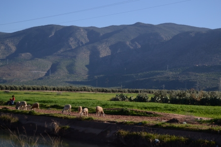 Marocco Sport Challenge-CEFA ONLUS