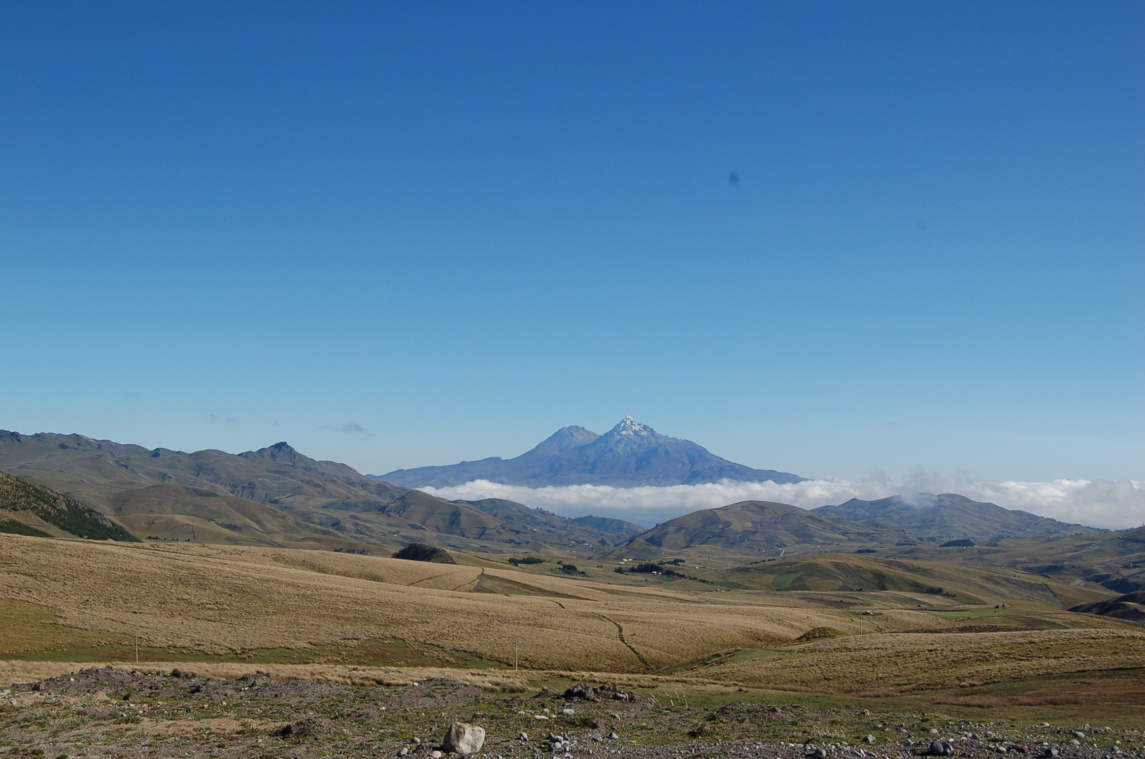 Indifesa -Terre des Hommes