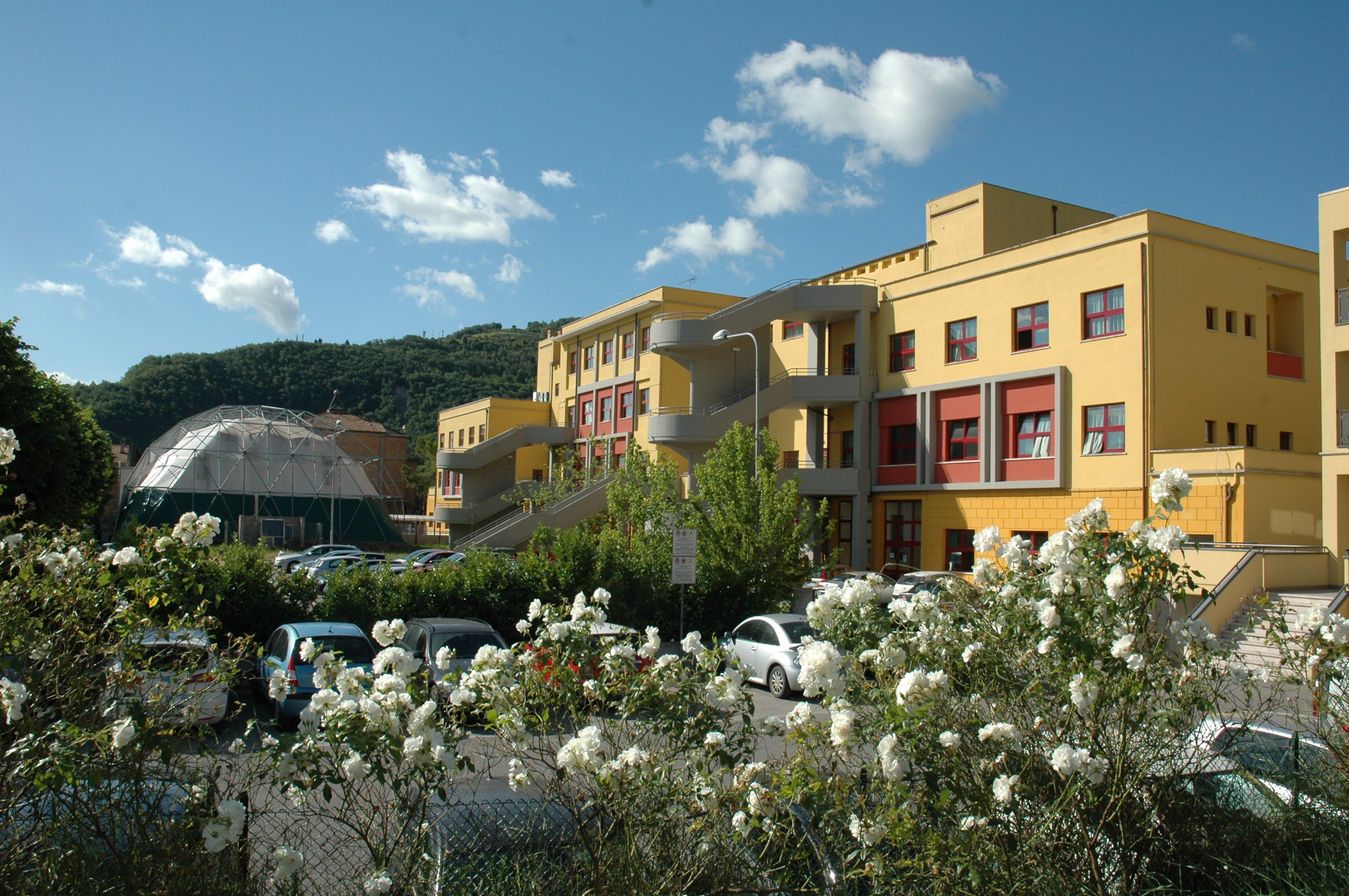 Generazione 0-Centro Foglie