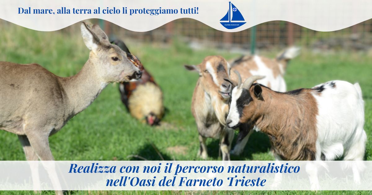 Oasi ENPA Trieste - Casa di Biodiversità di ENPA Oasi ENPA Trieste - Casa di Biodiversità-ENPA
