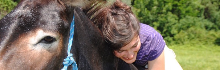 Adotta anche tu Dottor Asino! di A passo d'Asino Adotta anche tu Dottor Asino!-A passo d'Asino