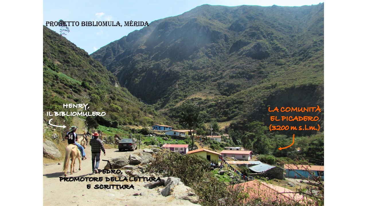 Bibliomula Mérida-Cooperativa Caribana