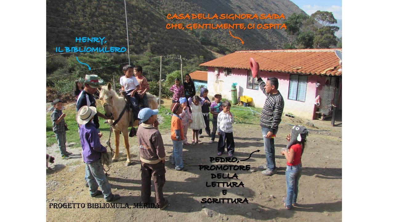 Bibliomula Mérida-Cooperativa Caribana