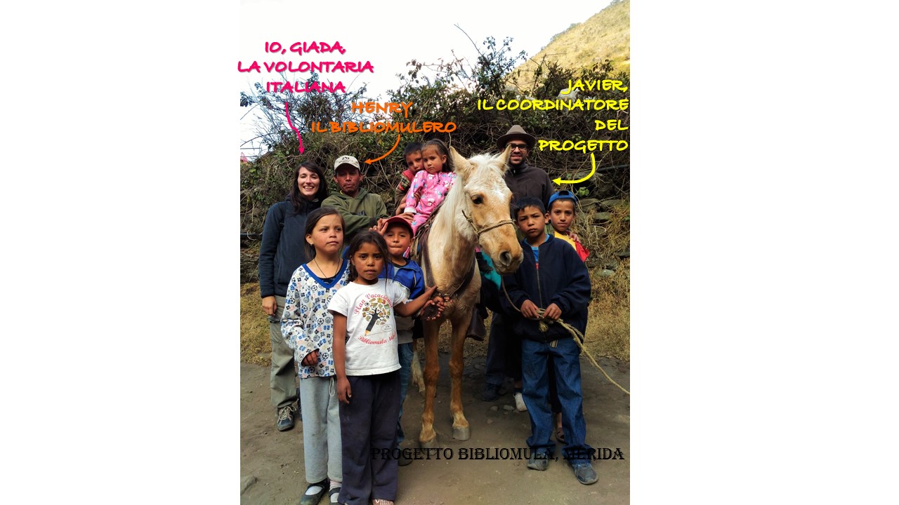 Bibliomula Mérida-Cooperativa Caribana