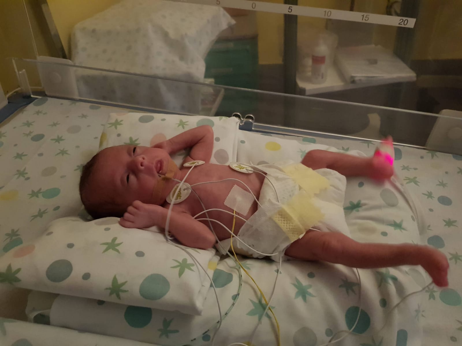 "HOME VISITING" di "PRIMA DEL TEMPO O.D.V." "HOME VISITING" -"PRIMA DEL TEMPO O.D.V."