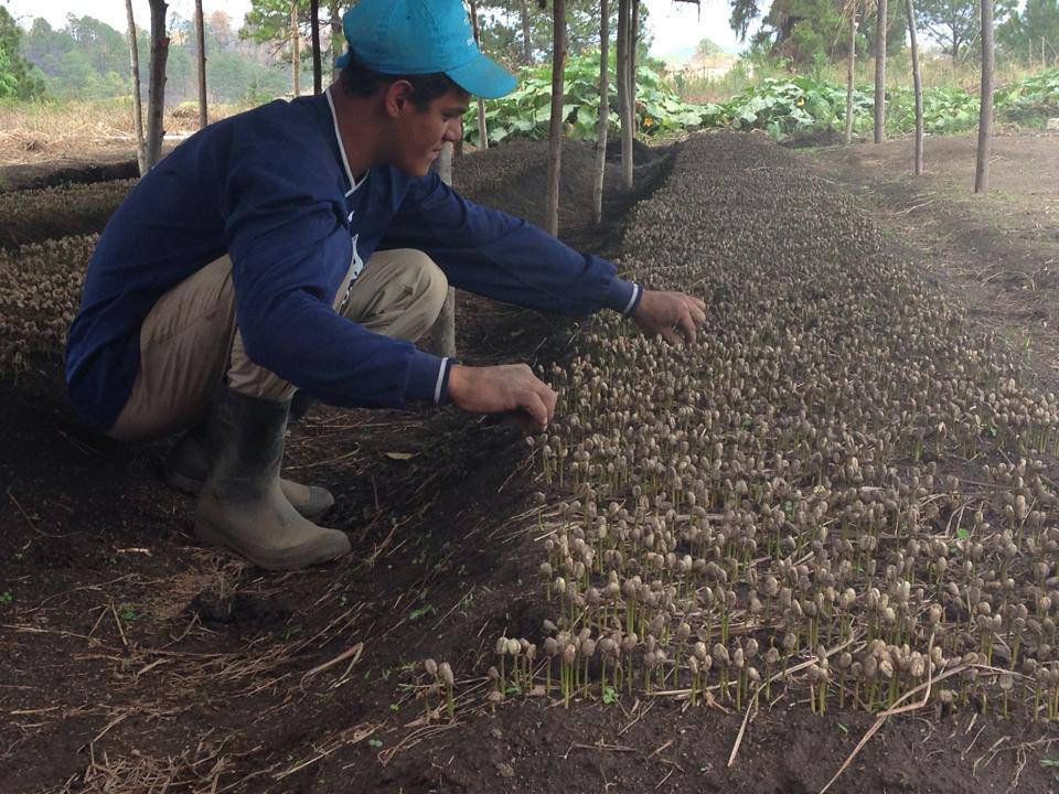SEMINIAMO EDUCAZIONE NUTRIAMO IL FUTURO di Educatori senza Frontiere SEMINIAMO EDUCAZIONE NUTRIAMO IL FUTURO-Educatori senza Frontiere