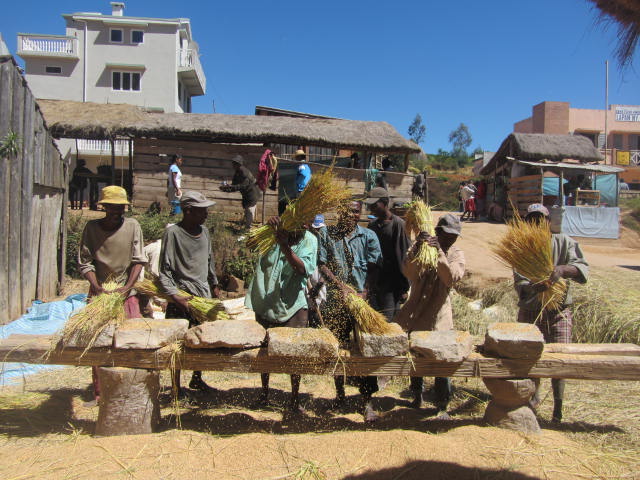 SEMINIAMO EDUCAZIONE NUTRIAMO IL FUTURO di Educatori senza Frontiere SEMINIAMO EDUCAZIONE NUTRIAMO IL FUTURO-Educatori senza Frontiere