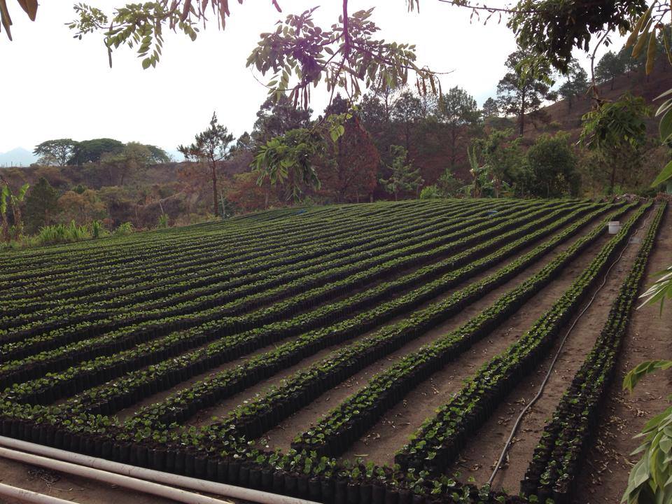 SEMINIAMO EDUCAZIONE NUTRIAMO IL FUTURO di Educatori senza Frontiere SEMINIAMO EDUCAZIONE NUTRIAMO IL FUTURO-Educatori senza Frontiere