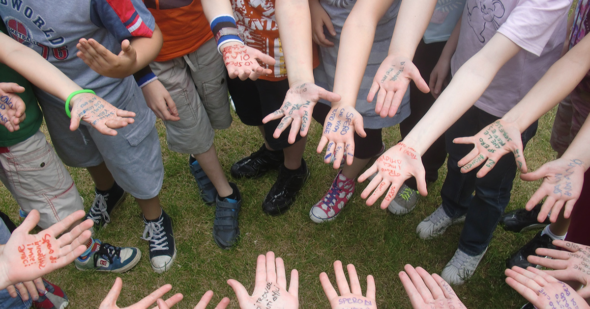 Gabbiani: liberi di volare-Il Mosaico ONLUS