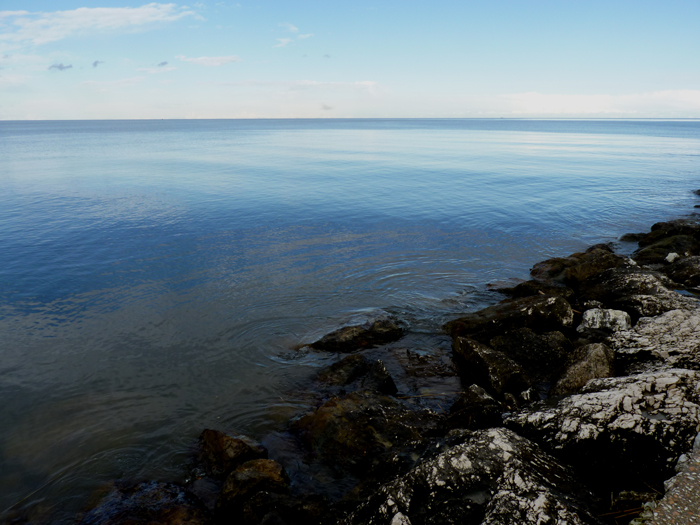 La Valle del Metauro, la nostra casa di Associazione Naturalistica Argonauta La Valle del Metauro, la nostra casa-Associazione Naturalistica Argonauta