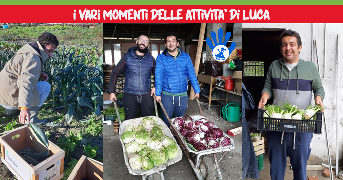 UnamanoperLuca_Orti Sociali-Una mano per...