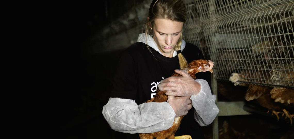 #Run4Animals per un mondo senza gabbie-Animal Equality