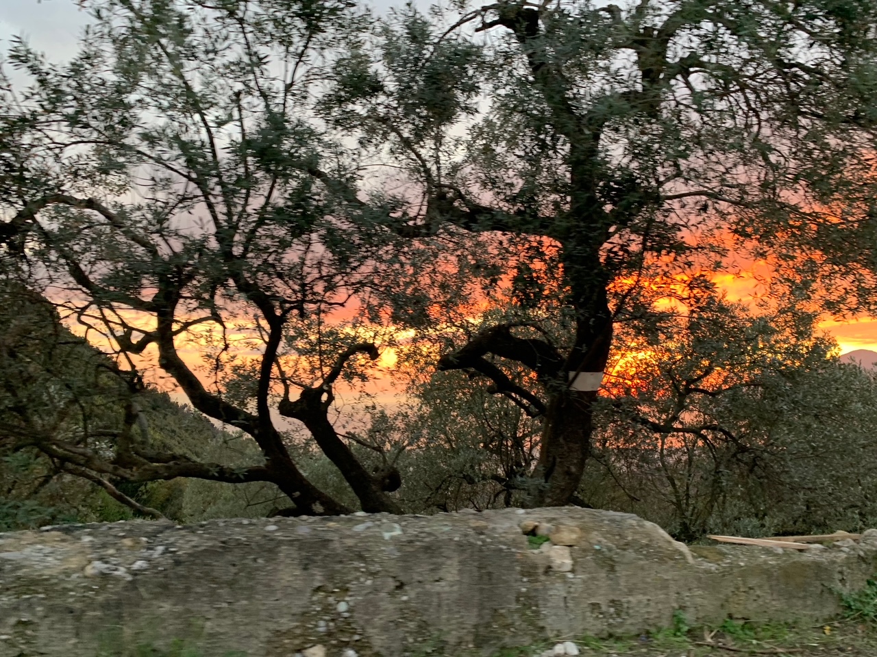 Gli Amici di Nanà – La Collina-EY Foundation Onlus