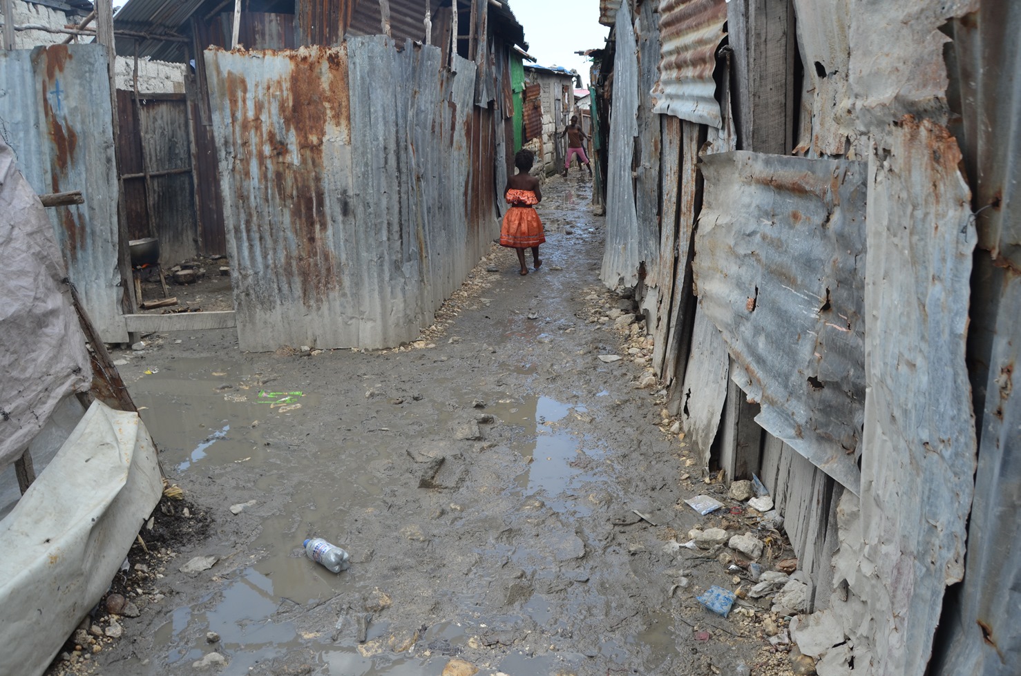 Haiti ha bisogno di noi-L'Albero della Vita