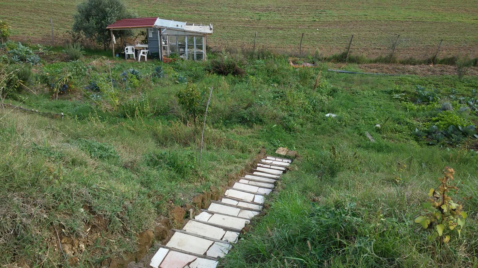 Passo dopo passo tutto prende forma! Ecco il percorso che conduce all'orto! Image