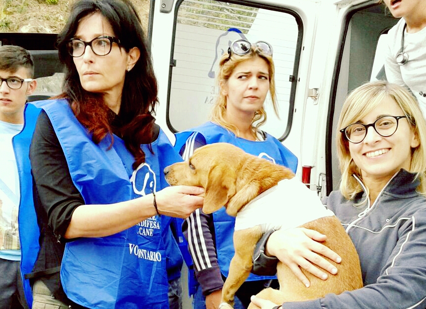 Noi li salviamo, tu mettici il cuore!-LNDC Animal Protection