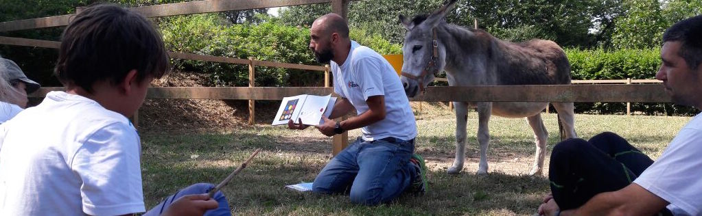 Adotta anche tu Dottor Asino! di A passo d'Asino Adotta anche tu Dottor Asino!-A passo d'Asino