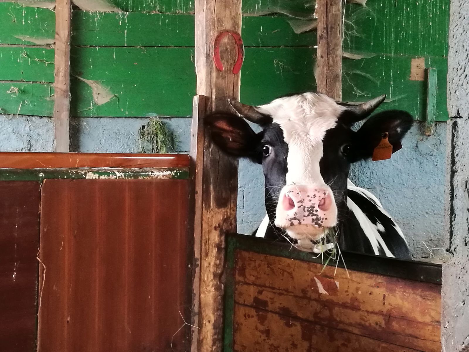 Uniti con don Bassano per Tetto Fraterno di Tetto Fraterno Uniti con don Bassano per Tetto Fraterno-Tetto Fraterno