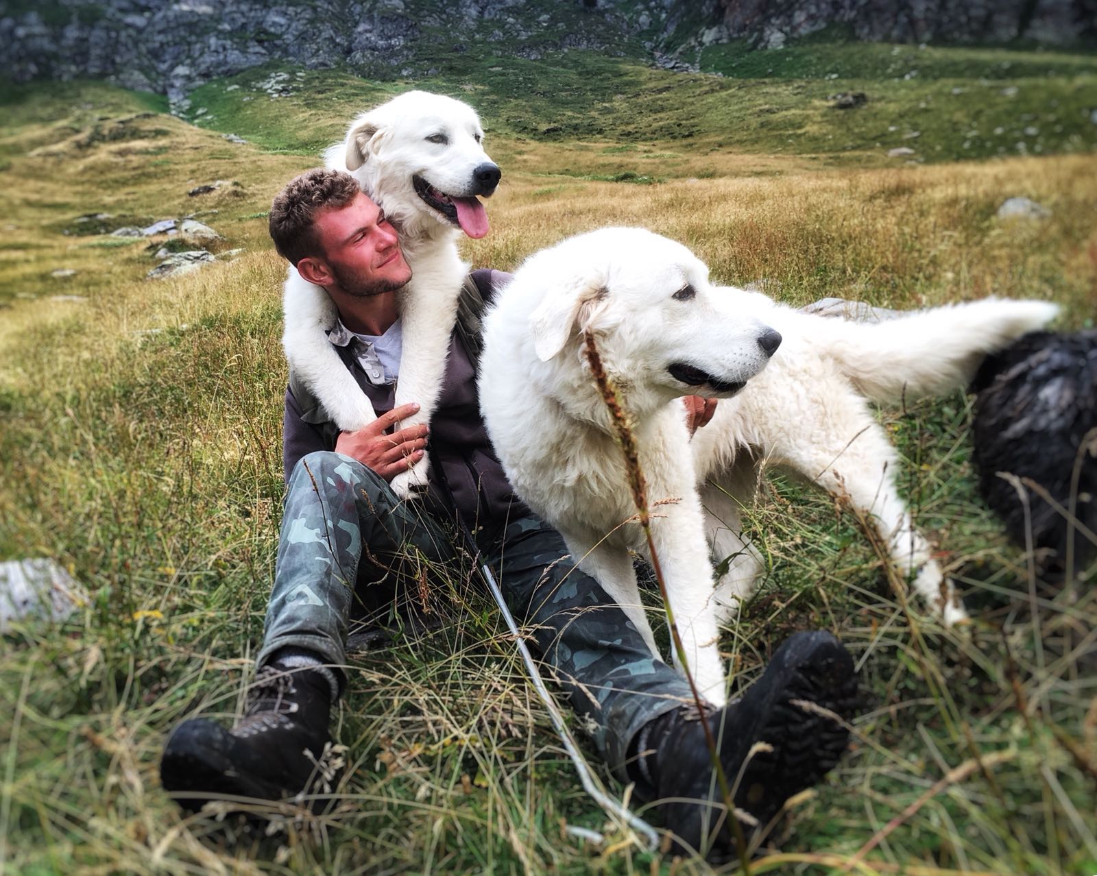 Lupo e orso: una storia a lieto fine! di Eliante Lupo e orso: una storia a lieto fine!-Eliante