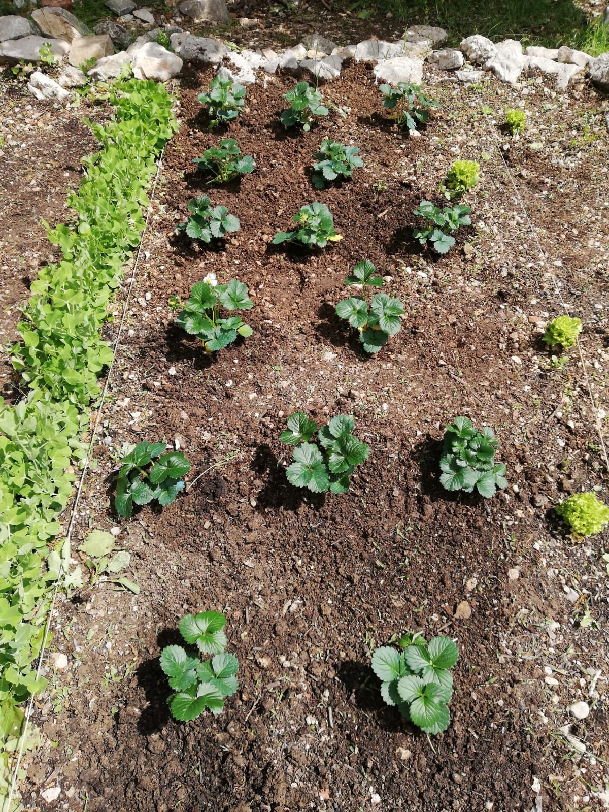 Resti...AMO a scuola. Raccolta lampo! di Generazione Rilke Resti...AMO a scuola. Raccolta lampo!-Generazione Rilke