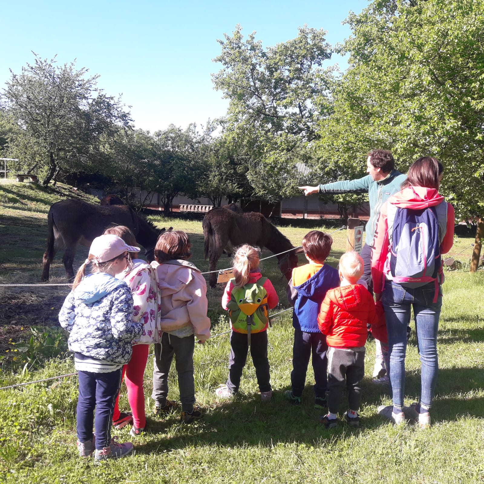 Resti...AMO a scuola. Raccolta lampo! di Generazione Rilke Resti...AMO a scuola. Raccolta lampo!-Generazione Rilke