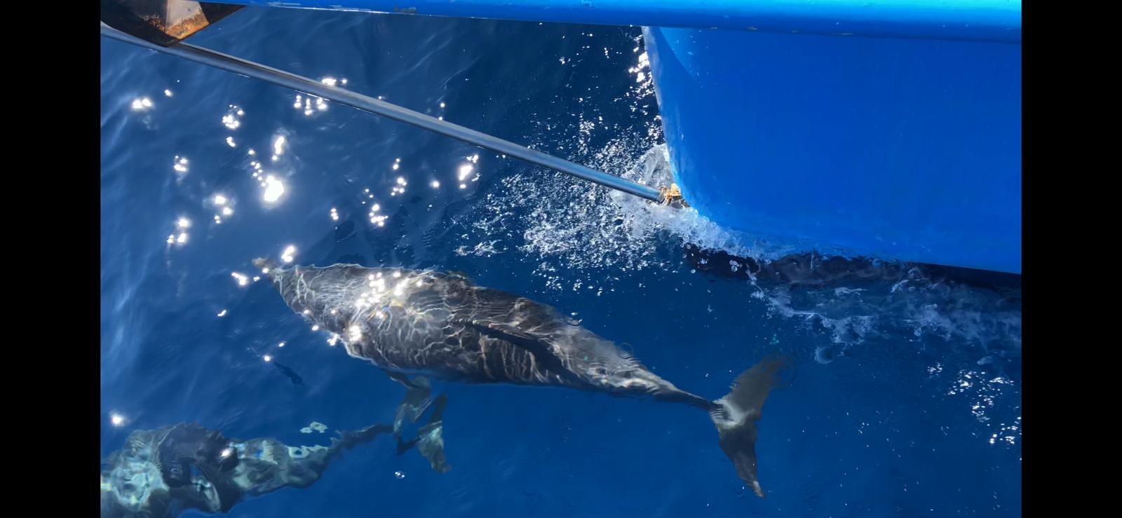 In viaggio per i bambini del Marocco -Progettomondo.mlal