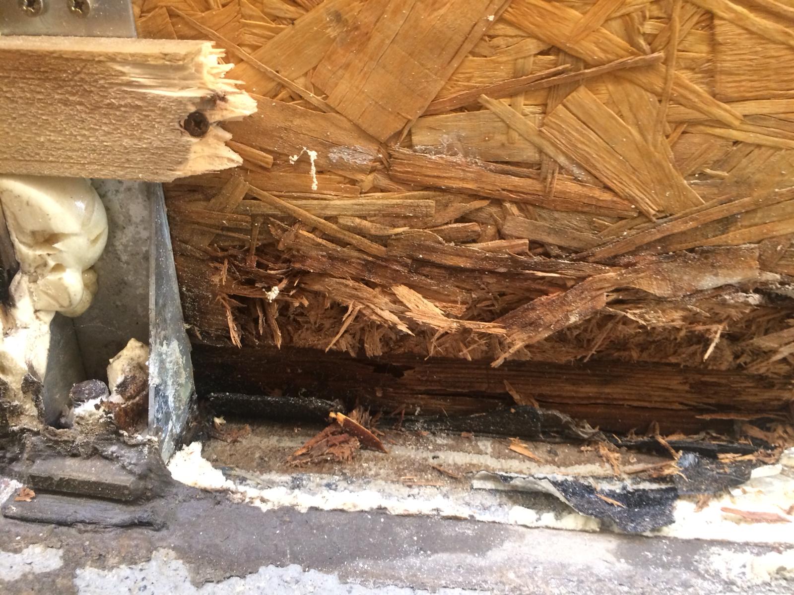 TEATRO DELL'ARCA HELP-Teatro Necessario Onlus