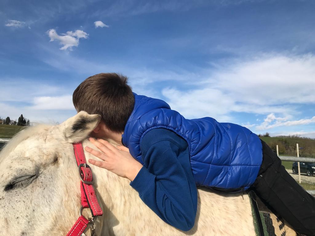 Un Cavallo per Amico-Il Cuore La Mente La Conoscenza O.d.v.