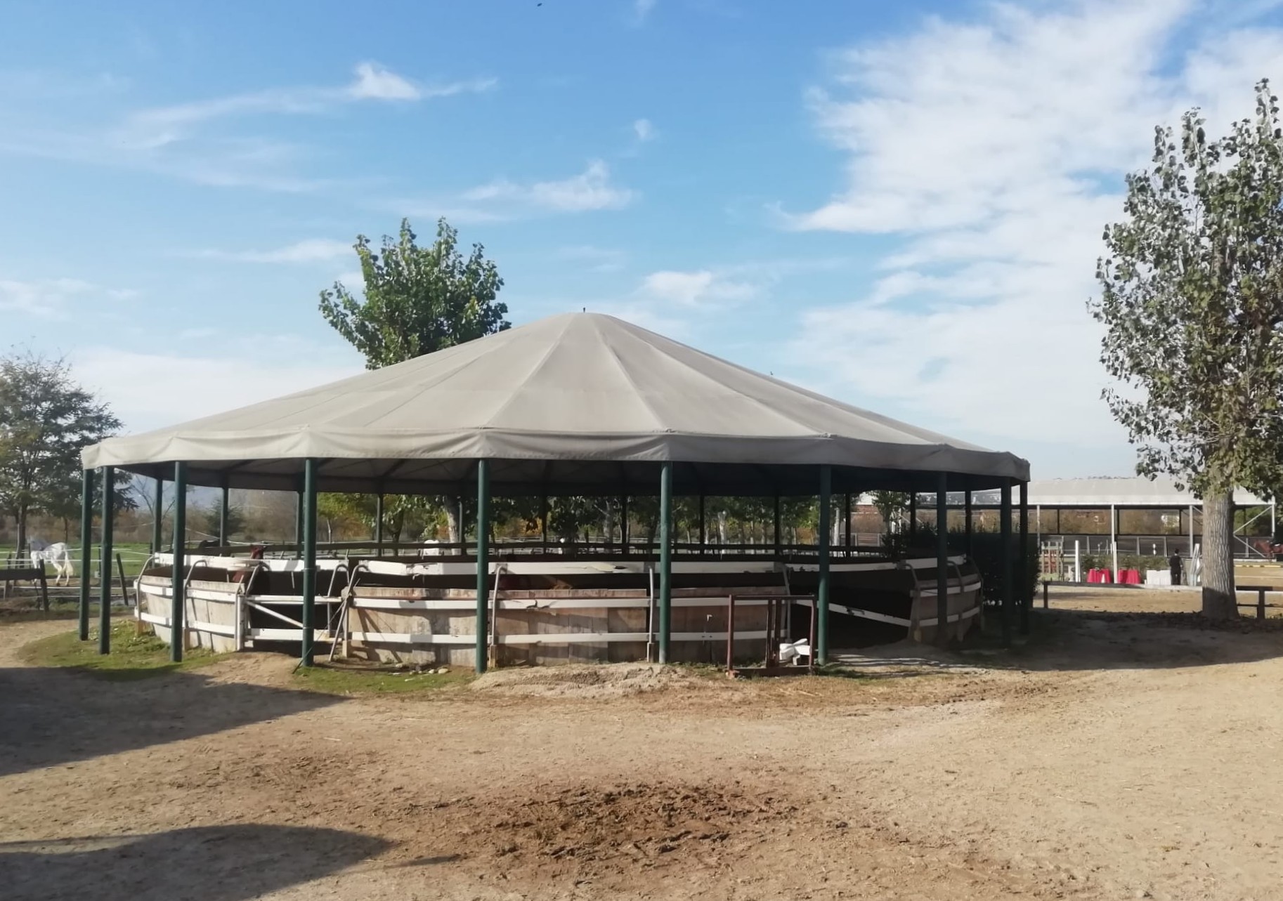 A cavallo di un sogno di SportABILI Alba A cavallo di un sogno-SportABILI Alba