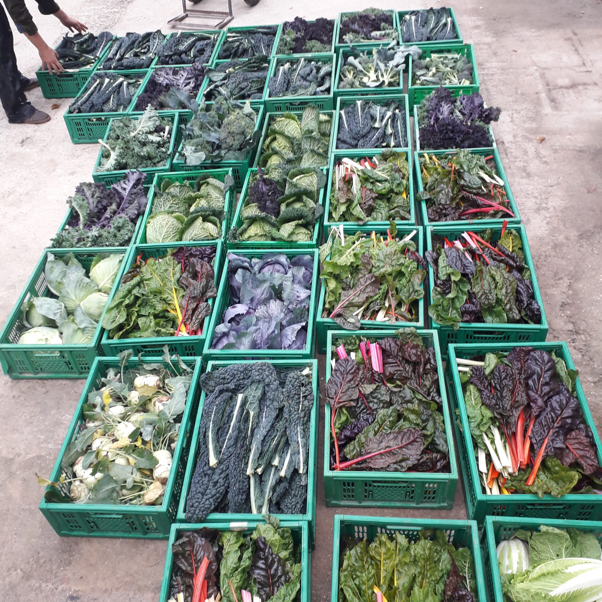 Sostieni Emporium Salus-Eta Beta